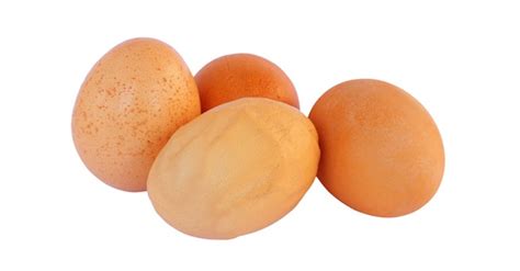 Top 8 Weird Chicken Eggs Whats Wrong With My Eggs Poultry Feed