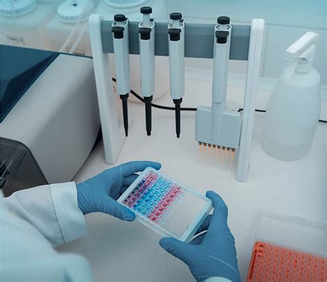 Determination Of Protein Concentration By The Lowry Method Protocol Creative Diagnostics