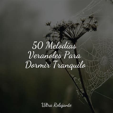 50 Melodías Veranoles Para Dormir Tranquilo Album by Masajes Spas