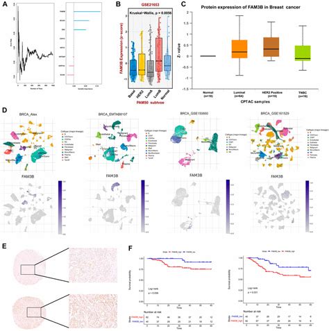 Frontiers A Senescence Associated Signature Refines The