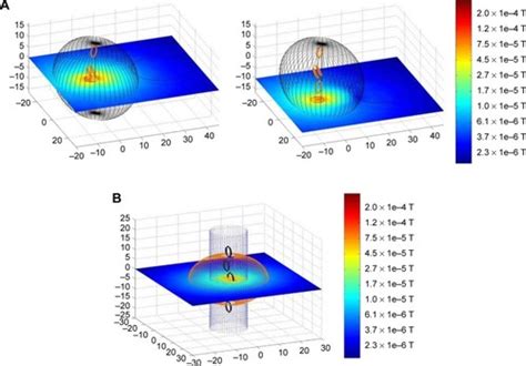 Full Article Establishment Of A Biophysical Model To Optimize