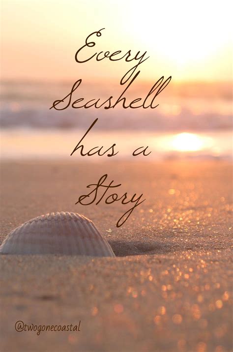 Every Seashell Has A Story Sea Shells Beach Life Beach Quotes