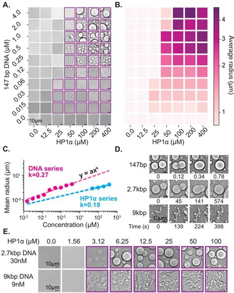 Figures And Data In Hp Proteins Compact Dna Into Mechanically And