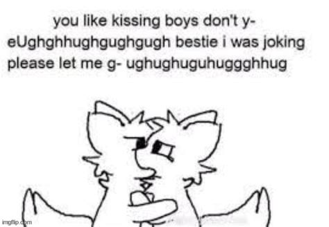 You Like Kissing Boys Imgflip