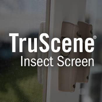 Product Spotlight Truscene Insect Screens Renewal By Andersen