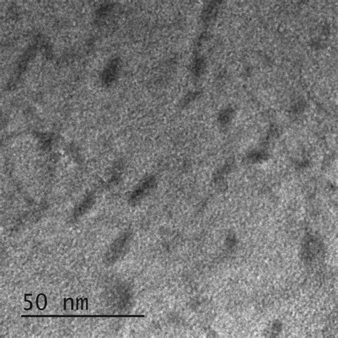 Martensitic Transformation In TiNi Alloy After Surface Modification