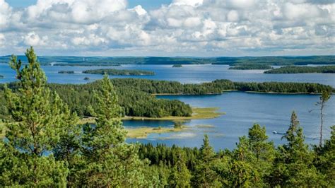 Finlande Cuisine Gastronomie Et Boissons Routard