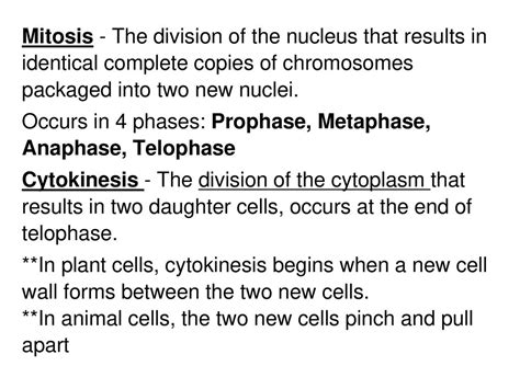 Mitosis And The Cell Cycle Ppt Download