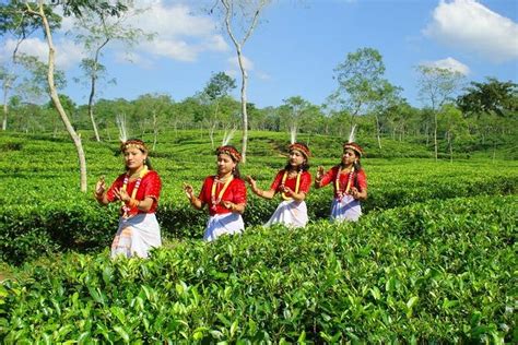 Private Tour: 5 Days - Bangladesh Nature & Culture Tour - North-eastern Part 2023: Triphobo