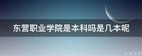 东营职业学院是本科吗是几本呢 业百科