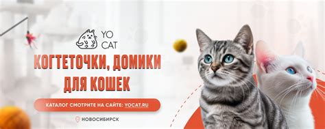 Когтеточки, домики для кошек "Yo Cat" | Мы производим: — Когтеточки ...