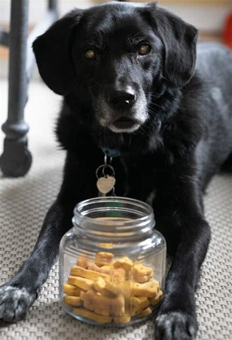 Crunchy Gluten Free Dog Treats | Just 4 Ingredients