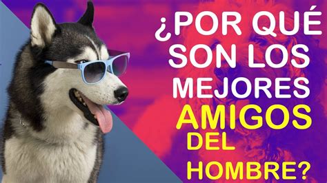 Descubre Por Qu Los Perros Son El Mejor Amigo Del Hombre Youtube