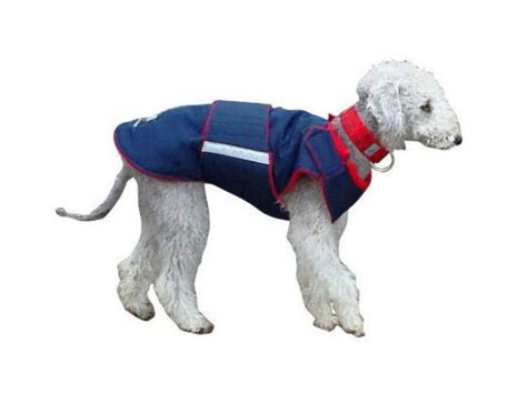 Bedlington Terrier Winter Dog Coat Made To Order Pepper Petwear