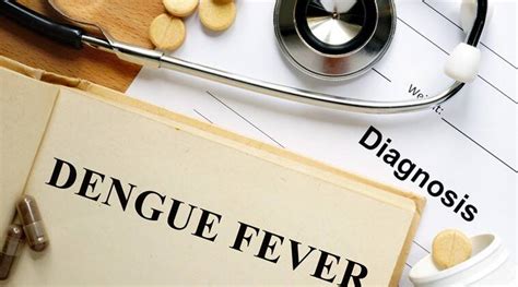 Dengue And Pregnancy Everything You Need To Know Health News The Indian Express