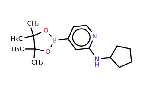 CAS 1346808 54 5 N Cyclopentyl 4 4 4 5 5 Tetramethyl 1 3 2