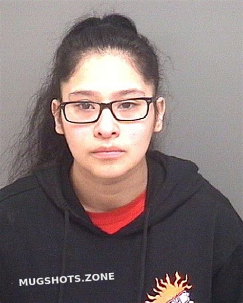 Ayala Cynthia Morgan County Mugshots Zone