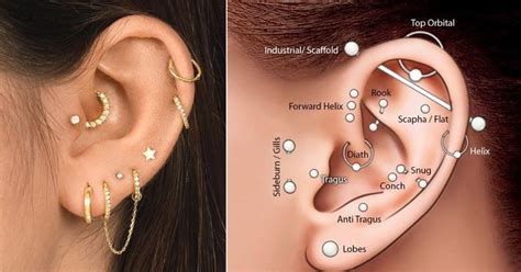 Least To Most Painful Types Of Ear Piercings Ranked By A S Porean With 9 Piercings In Her Ears