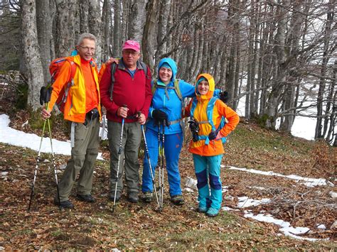 Narzissen Rundwanderung Orvin Les Pr S D Orvin Cabane Du Jura