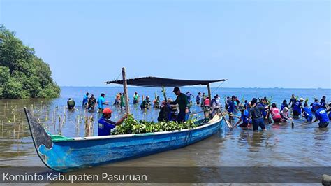 InfoPublik LPBI PBNU Kabupaten Pasuruan Tanam 10 Ribu Bibit Mangrove