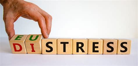 Eustress Und Distress Positiver Und Negativer Stress