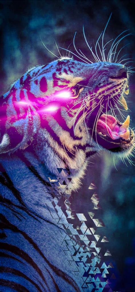 Mr Beast Wallpapers on WallpaperDog