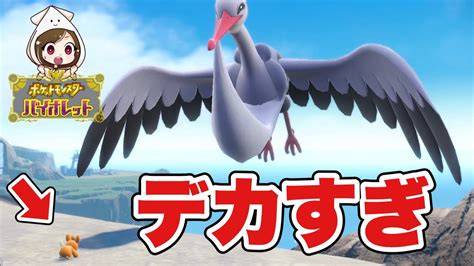 【ポケモンsv】大空のヌシ登場！初めてのヌシ戦に大興奮！【ポケットモンスター バイオレット4】 Youtube