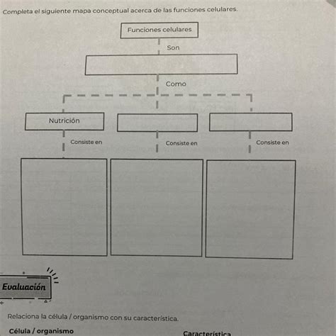 Completa El Siguiente Mapa Conceptual Acerca De Las Funcione Celulares