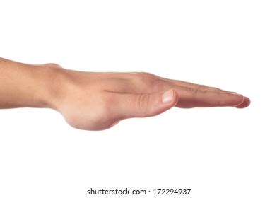 Human Hand Palm Down Stock Photo 172294937 Shutterstock