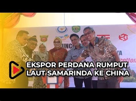 Rumput Laut Kaltim Di Ekspor Ke Xiamen China Youtube