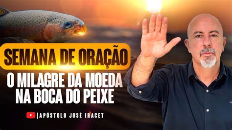 Semana De Ora O O Milagre Da Moeda Na Boca Do Peixe O Dia