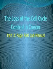 The Loss Of The Cell Cycle Control The Loss Of The Cell Cycle Control