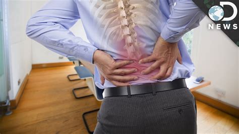 3 Scientific Reasons Why Your Back Hurts Youtube