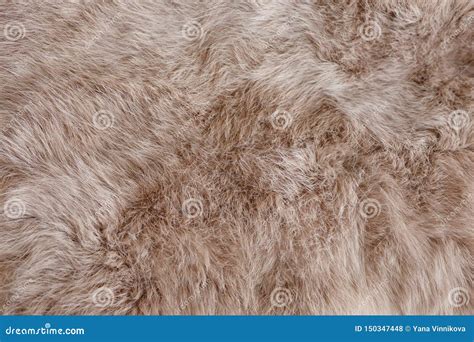 Brown Rabbit Fur Texture, Animal Skin Background Stock Photo - Image of ...