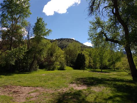 Grass And Trees With Hill In Background Picture Free Photograph