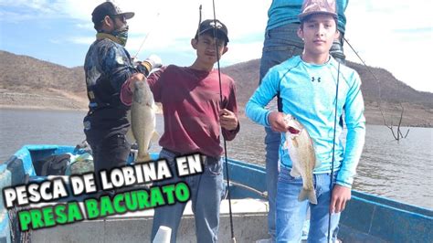 Pesca De LOBINAS En Presa Bacurato Lake Baccarac YouTube