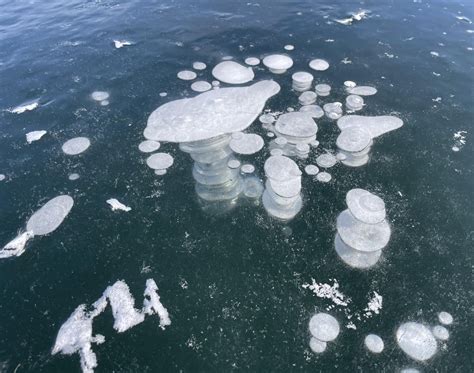 Bubbles frozen in lake ice : r/mildlyinteresting