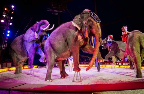 Circus Krone Weltgrößter Zirkus hält sich mit ausgefallenen Ideen über