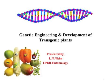 Genetic Engineering And Development Of Transgenic Plants Ppt