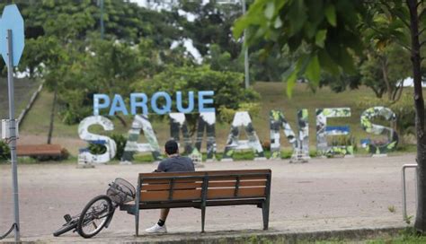 Mantenimiento De Samanes Cuesta 300 000 Red Ecuador