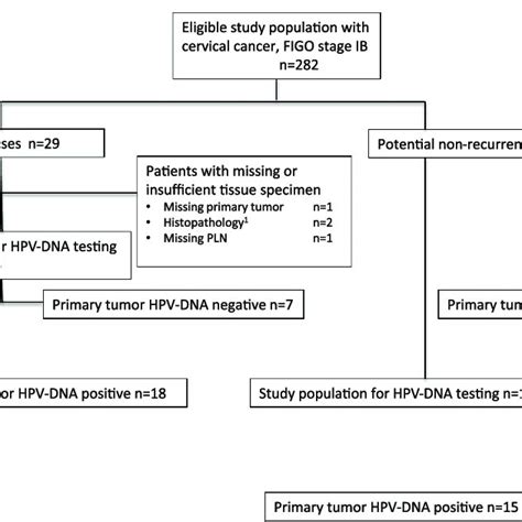 Characteristics Of 33 Patients With Early Stage Cervical Cancer Figo Download Scientific