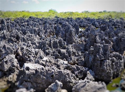 Travel Guide to the Cayman Islands [Things To Do and Places to Visit]