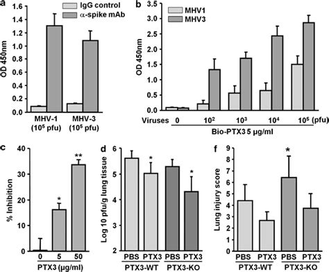 PTX3 Binds Coronaviruses And Reduces MHV 1 Infectivity In Vitro And