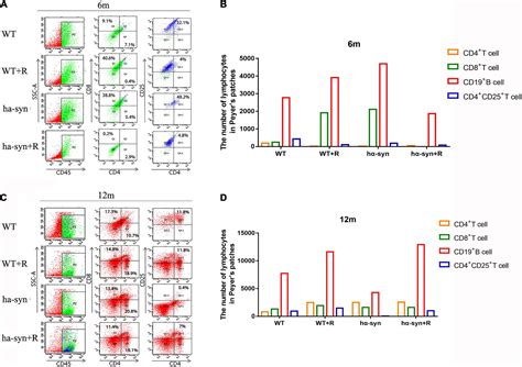 Frontiers Rotenone Aggravates Pd Like Pathology In A53t Mutant Human