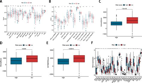 Immune Infiltration Analysis Between The Two Risk Groups A B