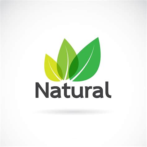 Plantilla De Vector De Dise O De Logotipo Natural Sobre Fondo Blanco