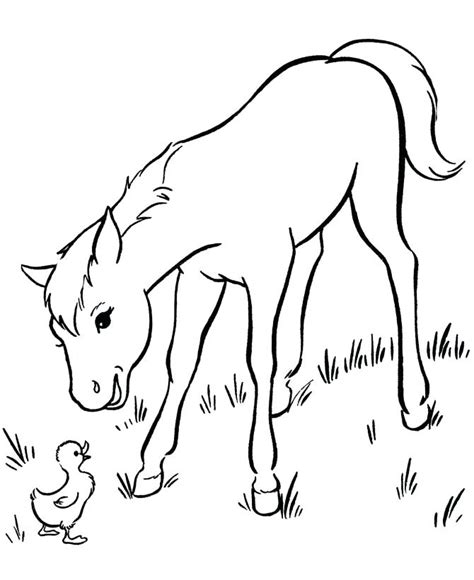 Mare And Foal Coloring Pages at GetColorings.com | Free printable colorings pages to print and color