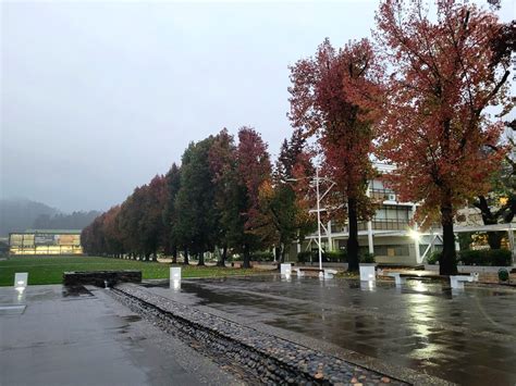 Francisco Darmendrail On Twitter Lluvia En La Udeconcepcion