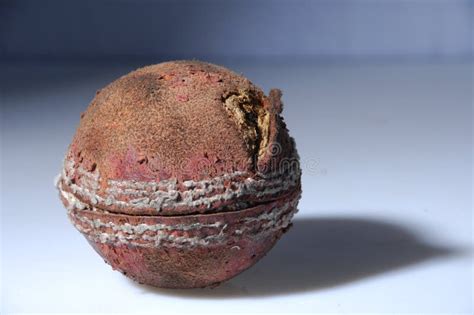 Old cricket ball stock photo. Image of weathered, circular - 5551542