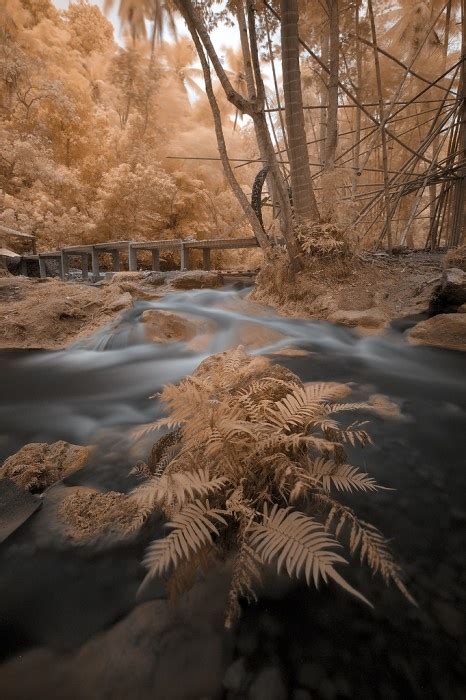 Photo Of The Day Outdoor Photography Tips Earth Pictures Photography